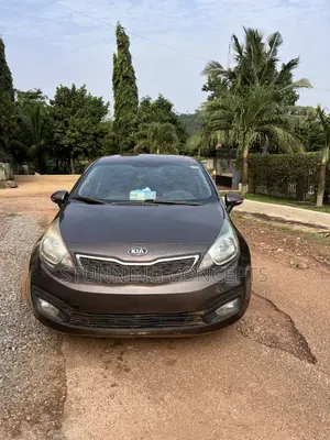 Kia Rio 2013 Brown