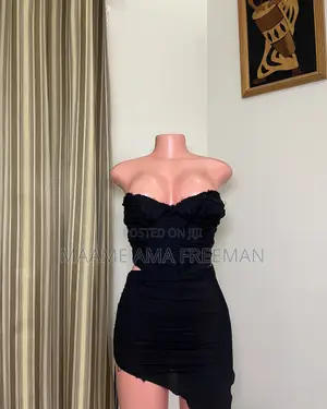 Zara Corset Top