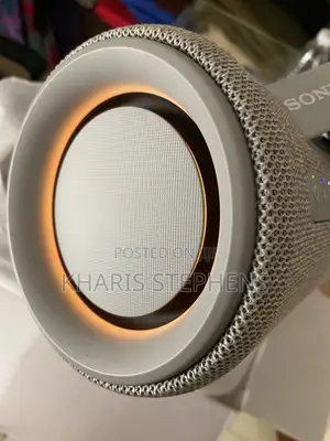 Sony XG300 Powerful Portable Speaker