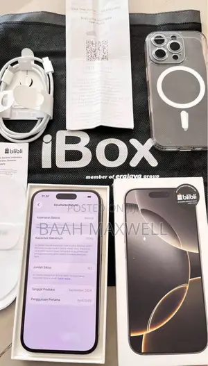 Apple iPhone 15 Pro Max 256 GB Silver