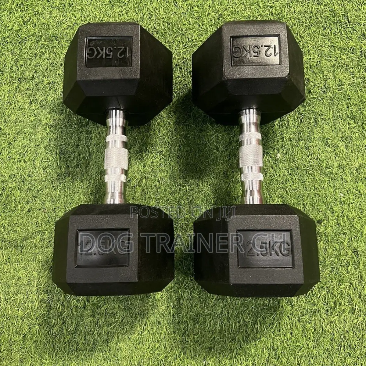 12kg Dumbbells Pair