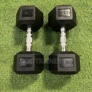 12kg Dumbbells Pair