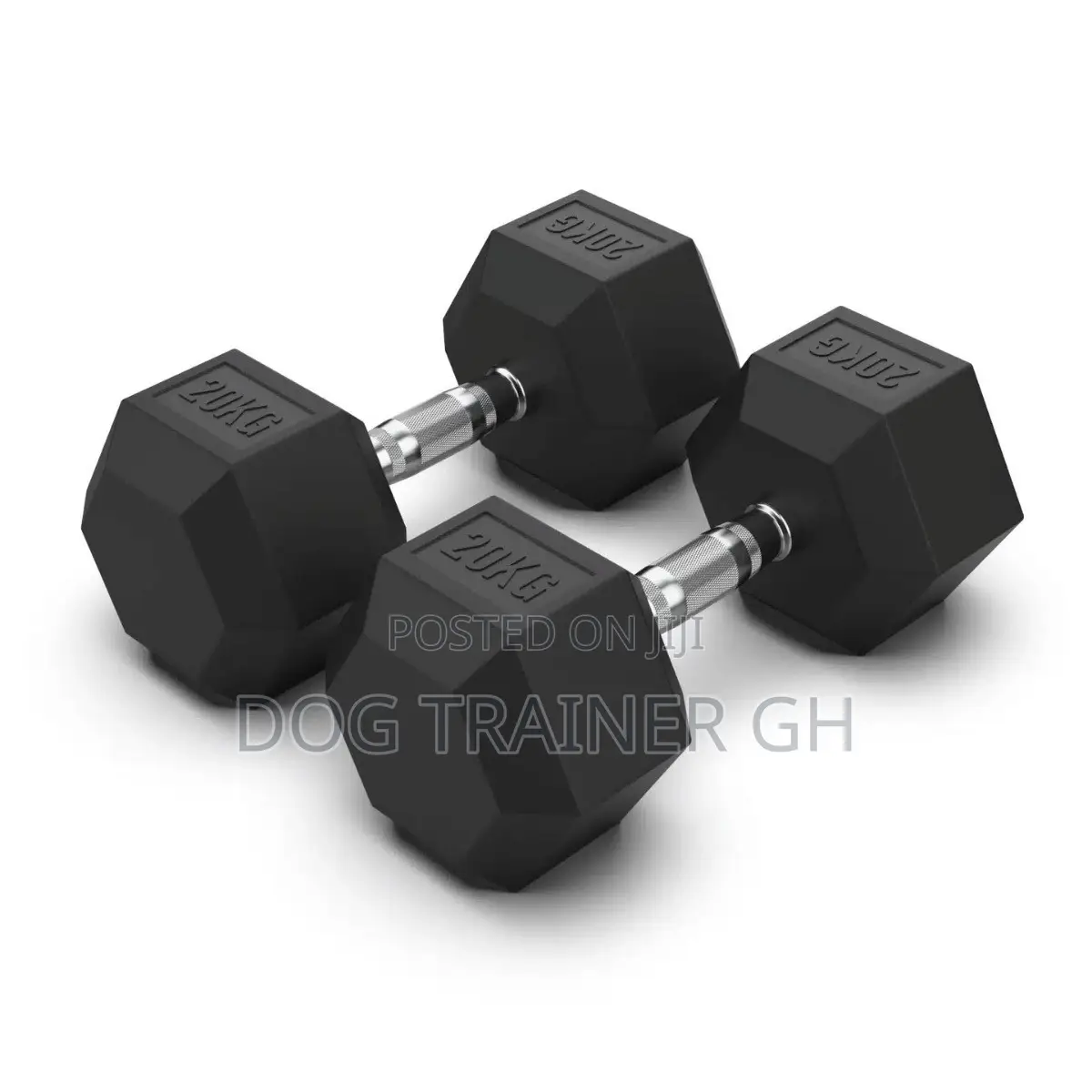 20kg Dumbbells Pair