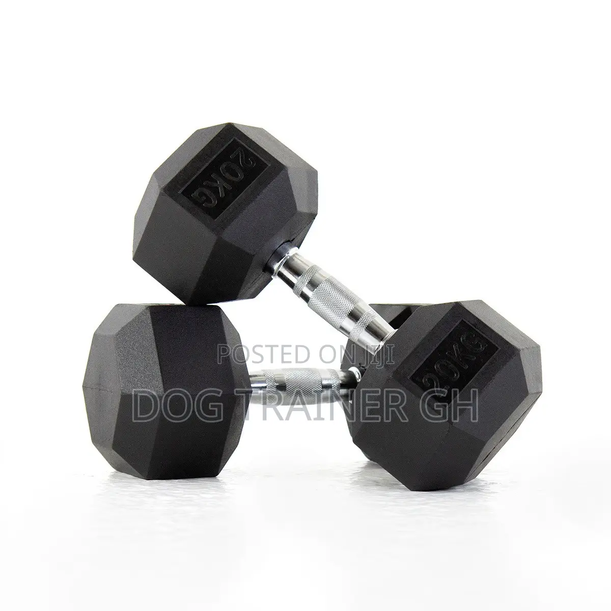 20kg Dumbbells Pair