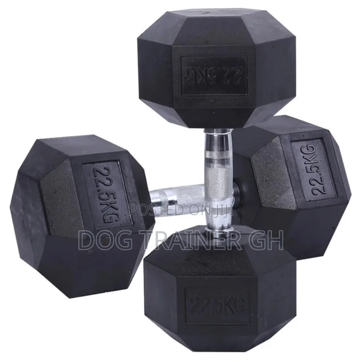22.5kg Dumbbells Pair