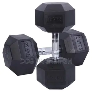 22.5kg Dumbbells Pair