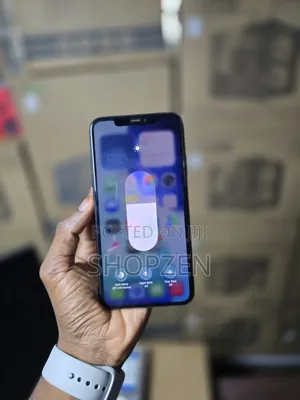 Apple iPhone 11 Pro Max 256 GB Gray