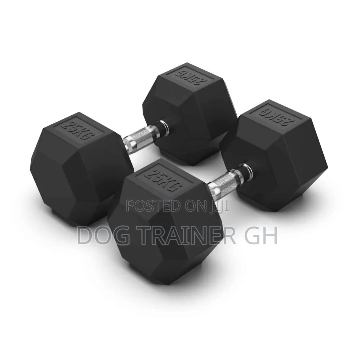 25kg Dumbbells Pair
