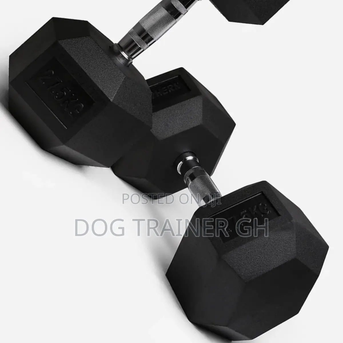 27.5kg Dumbbells Pair