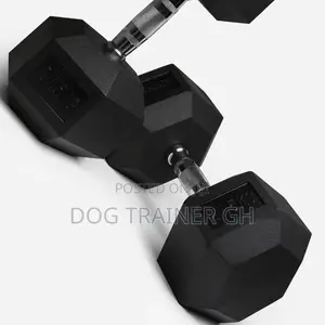 27.5kg Dumbbells Pair