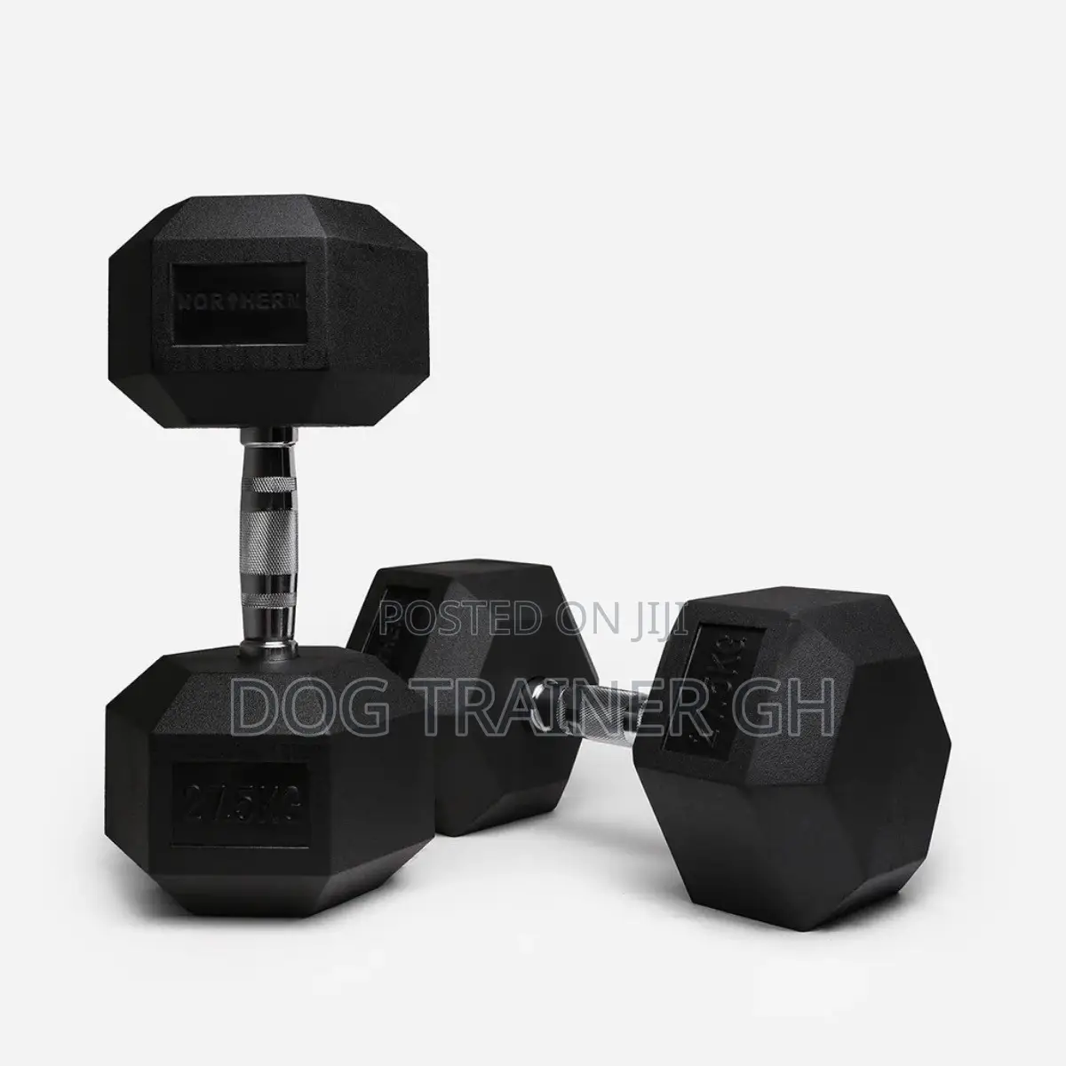 27.5kg Dumbbells Pair