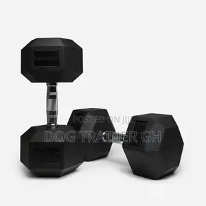 27.5kg Dumbbells Pair