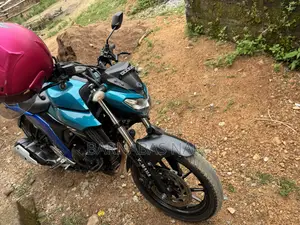 Yamaha FZ 2009 Blue