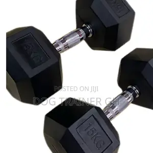 15kg Dumbbells Pair