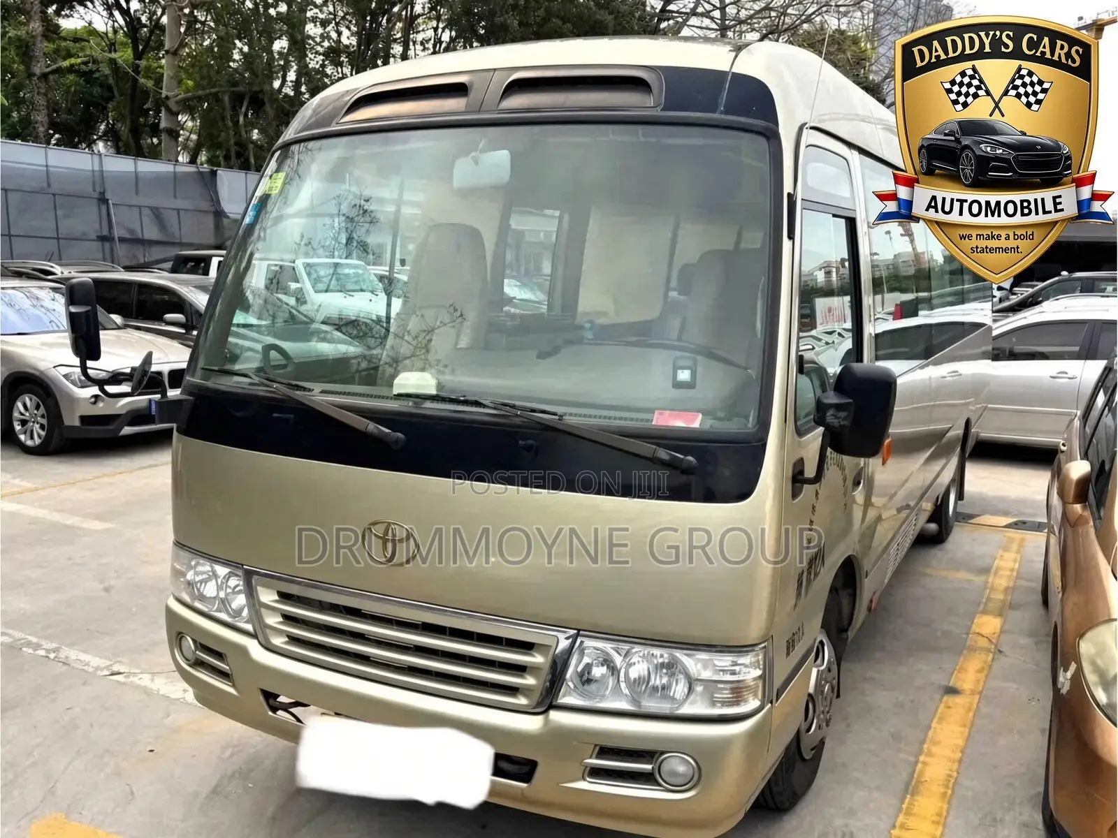 Toyota Coaster 2011 Brown