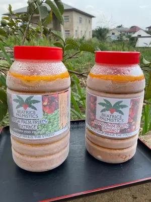 Natural Processed Palm Nut