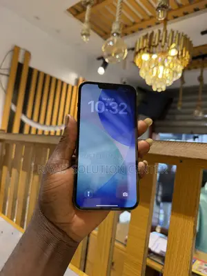 Apple iPhone 13 Pro Max 256 GB Gray