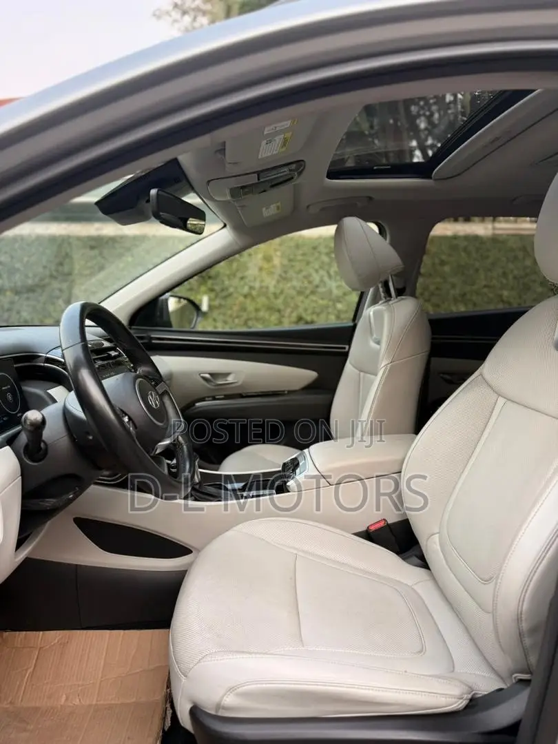 Hyundai Tucson Limited 2022 Silver