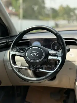 Hyundai Tucson Limited 2022 Silver