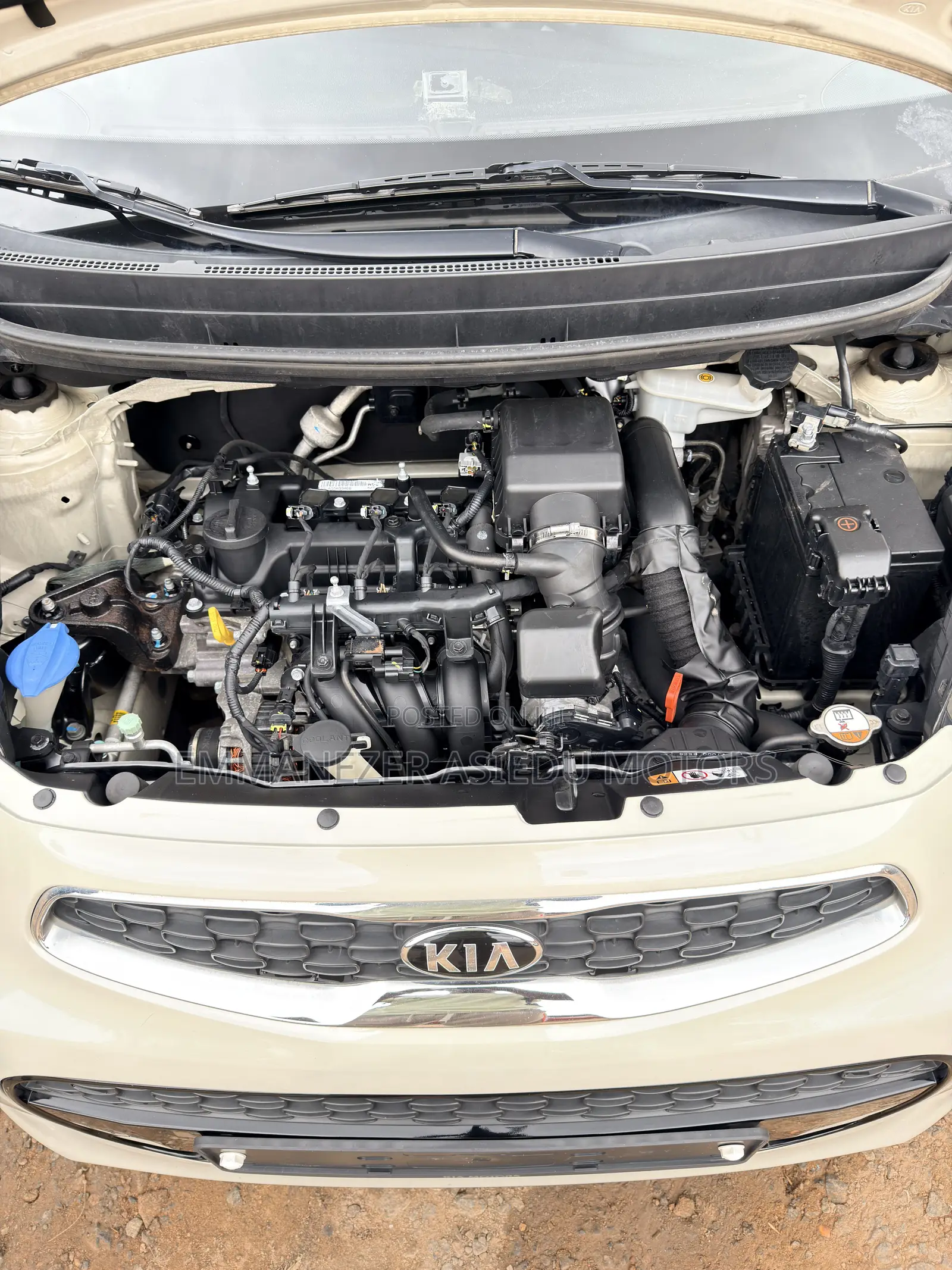 Kia Morning 2016 Pearl