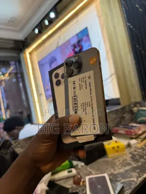 Apple iPhone 13 Pro 256 GB Silver