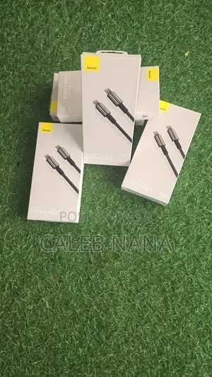 Baseus 100w Type C Cable
