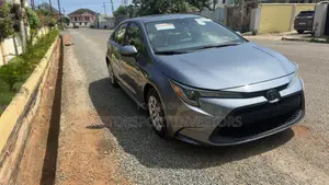 Toyota Corolla LE 2021 Silver