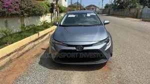 Toyota Corolla LE 2021 Silver