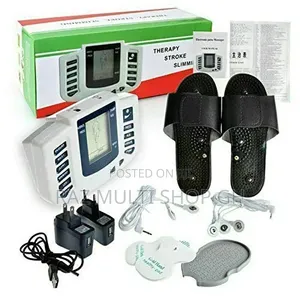 Electronic Pulse Massager