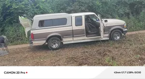 Ford F-150 1992 Brown