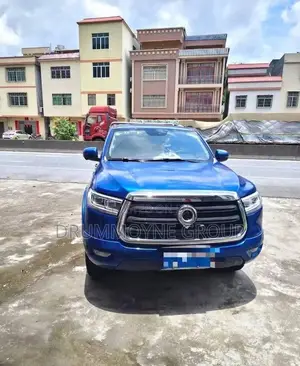 Great Wall King Kong Poer 2021 Blue