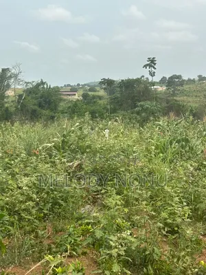 Estate Lands for Sale