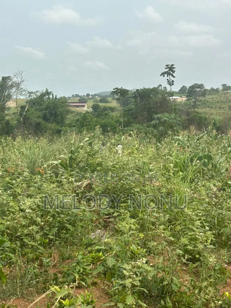 Estate Lands for Sale