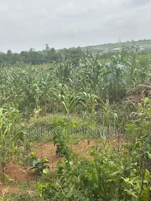 Estate Lands for Sale