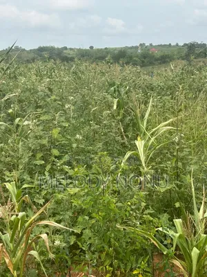 Estate Lands for Sale