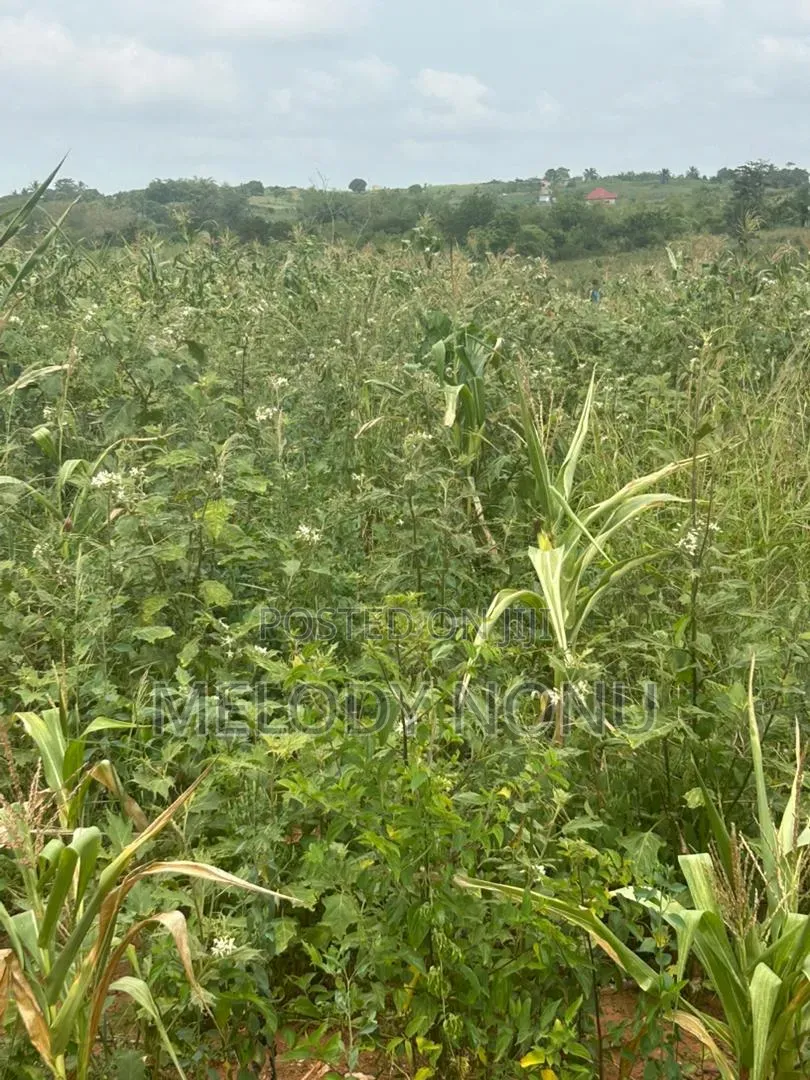 Estate Lands for Sale