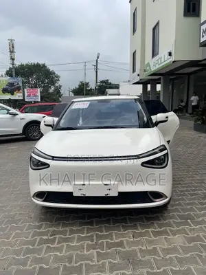 New Dongfeng Nammi 01 31.45 kWh 330 Plus 2024 White