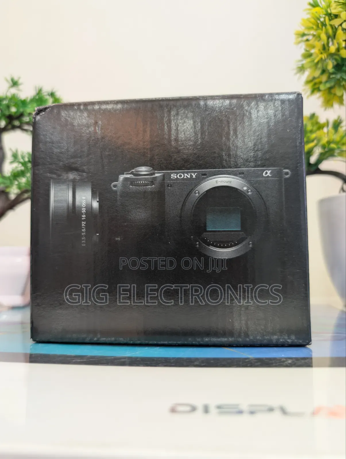 Sony A6700 Mirrorless Camera With 16-50mm F/3.5-5.6 II Lens