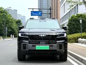 BYD Leopard 5 2024 Black