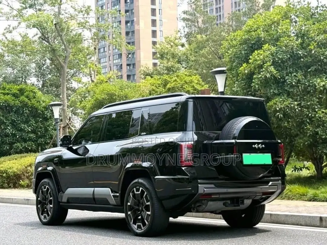 BYD Leopard 5 2024 Black