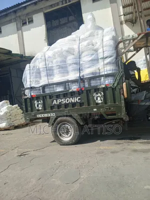 Apsonic AP200ZH-VIP 2024 Green