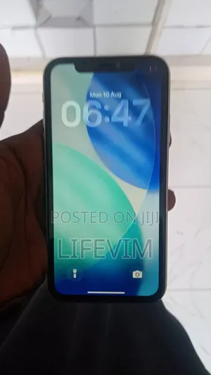 iPhone 11 Is Here Fam