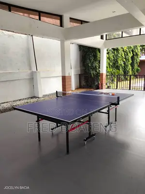 Foldable Tennis Table