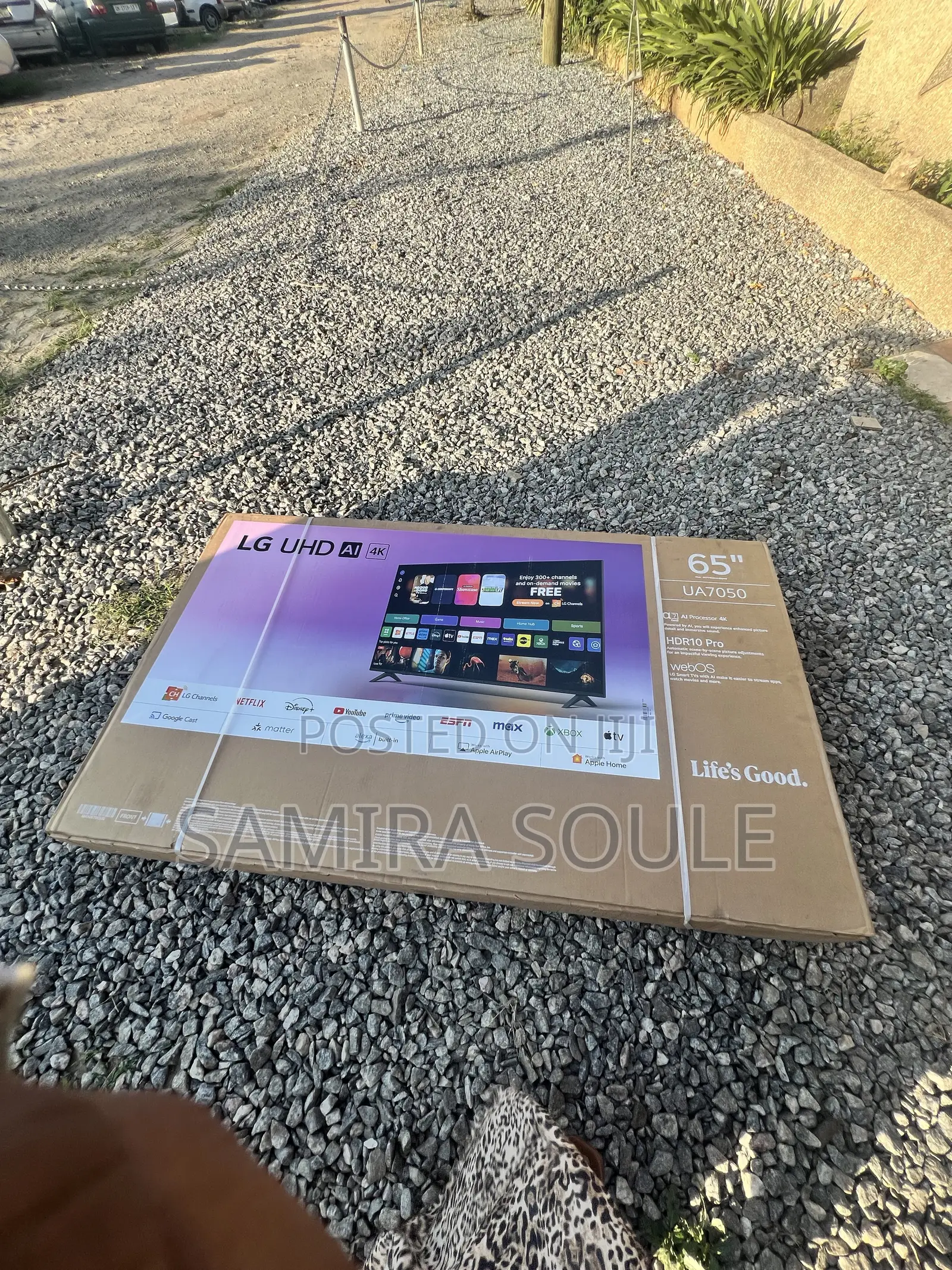 LG Television