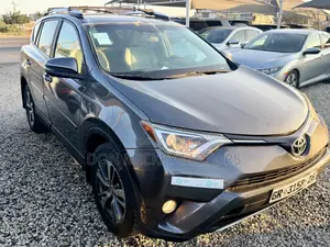 Toyota RAV4 XLE AWD (2.5L 4cyl 6A) 2017 Gray