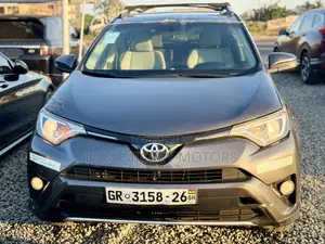 Toyota RAV4 XLE AWD (2.5L 4cyl 6A) 2017 Gray