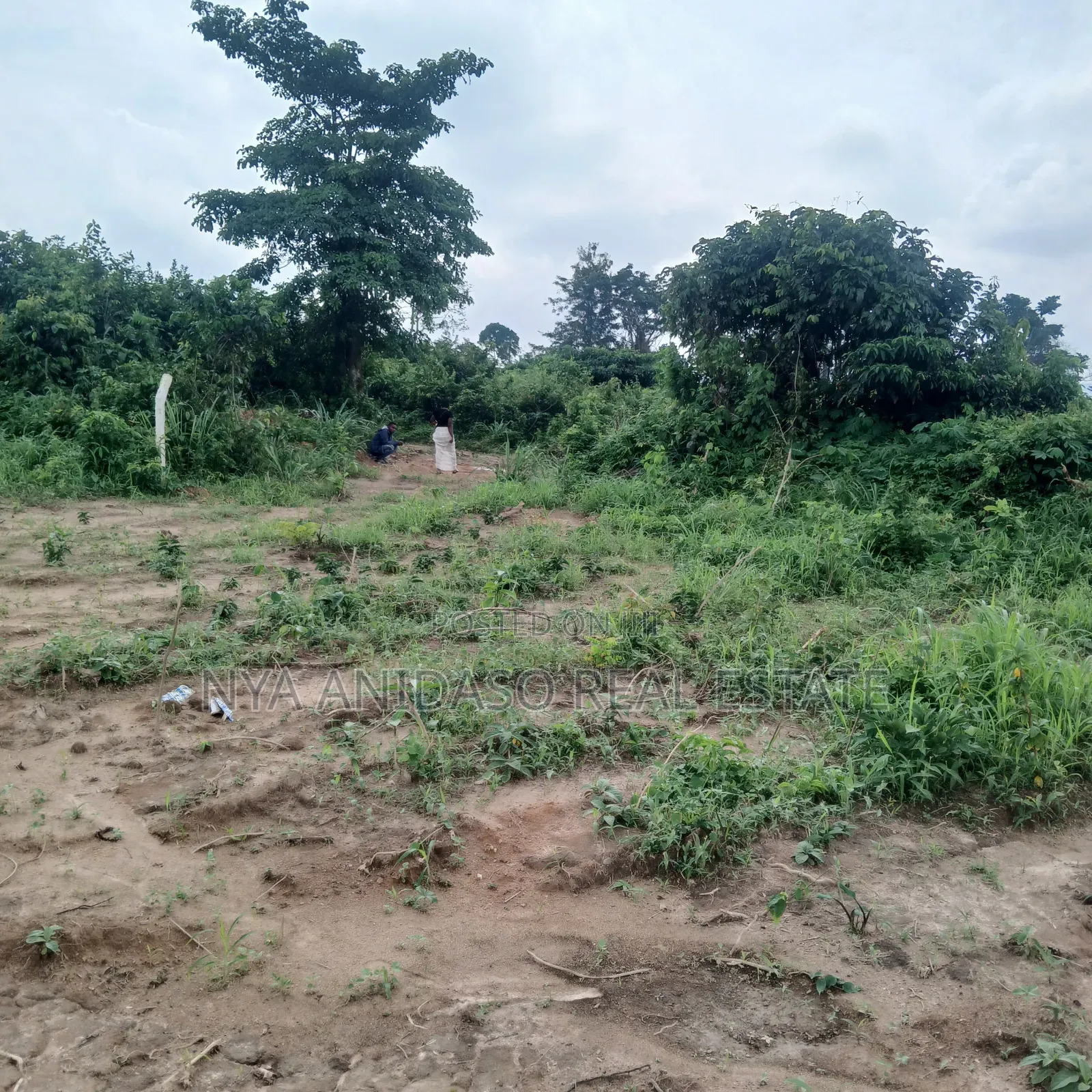 Three Plots of Land for Sale