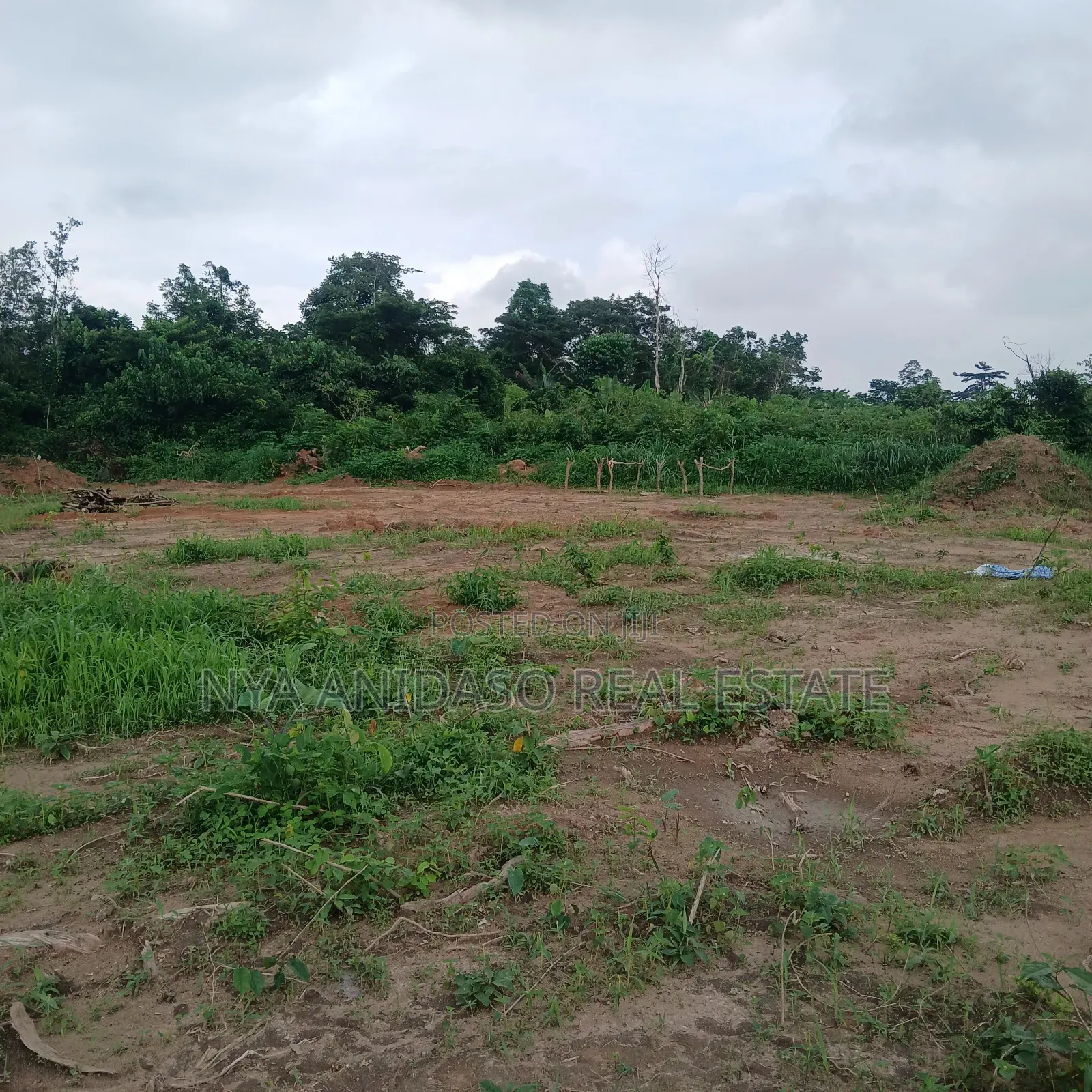 Three Plots of Land for Sale