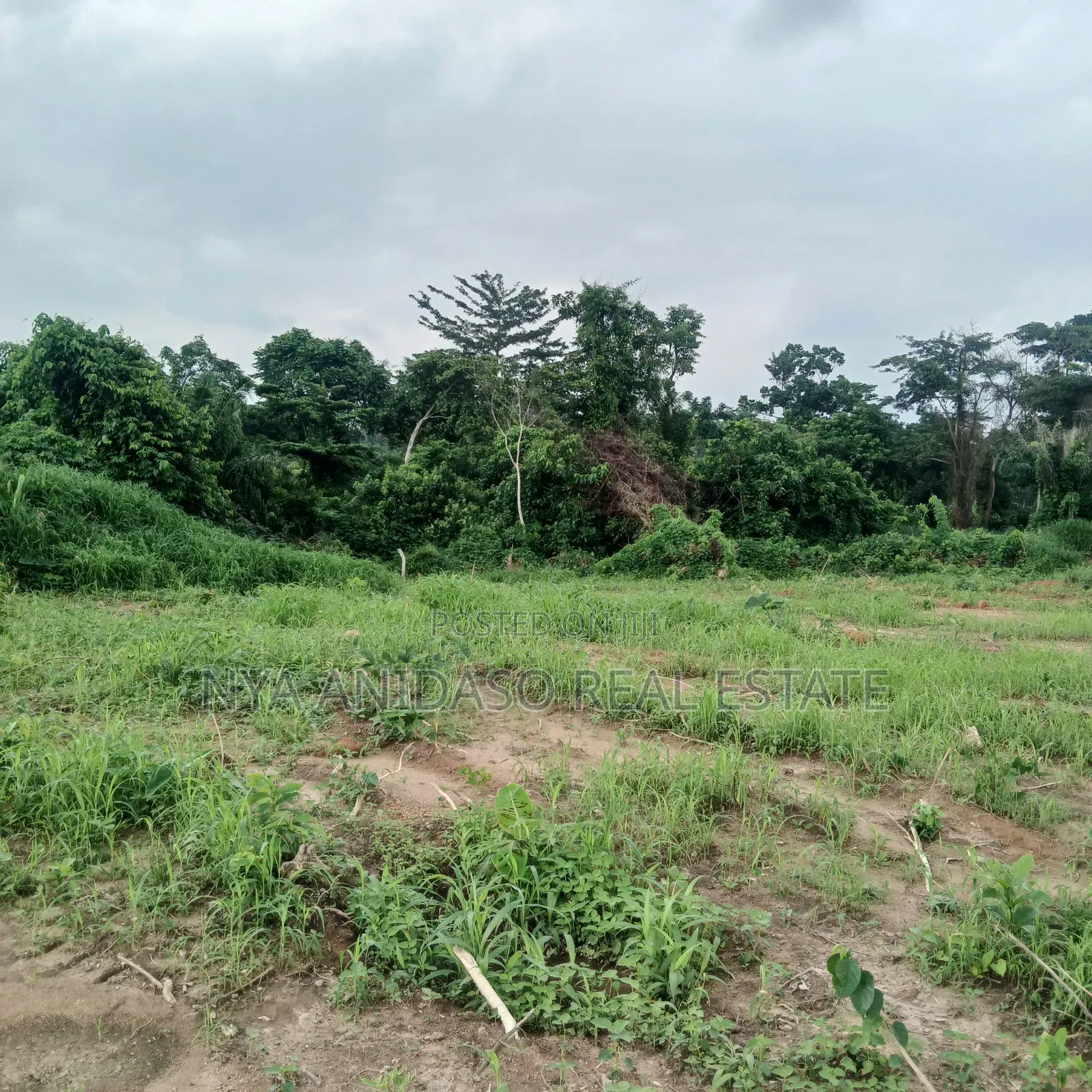 Three Plots of Land for Sale