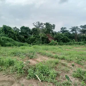 Three Plots of Land for Sale